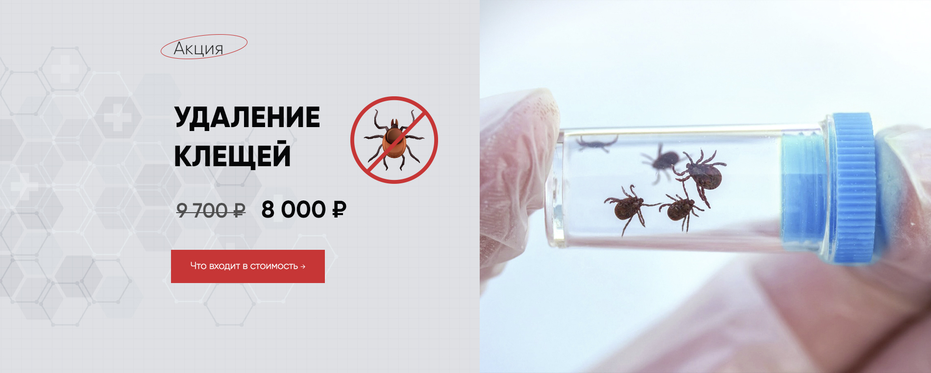 Удаление клеща